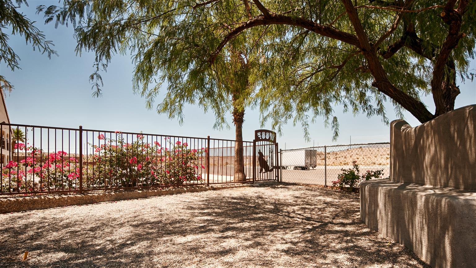 Best Western Colorado River Inn Needles Bagian luar foto